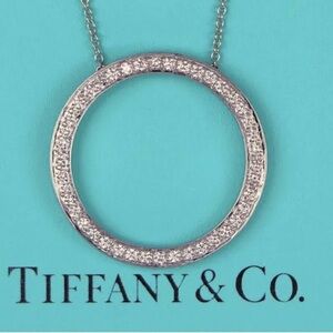 Authentic Tiffany & Co. PLATINUM Diamond Circle Necklace